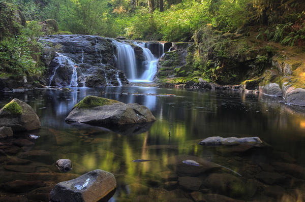 September on Sweet Creek #3