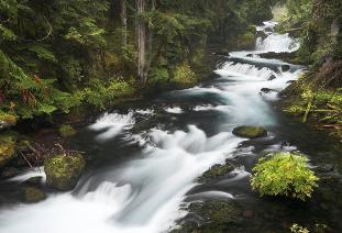 Autumn on the Upper McKenzie