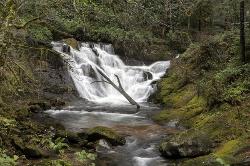 Beaver Creek Falls in November