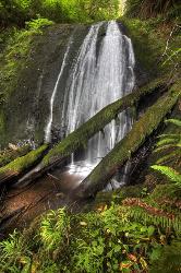 Big Creek Falls - Central Oregon Coast