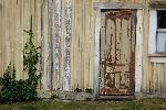 Carriage House Door