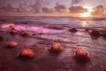 Evening on Ona Beach #5