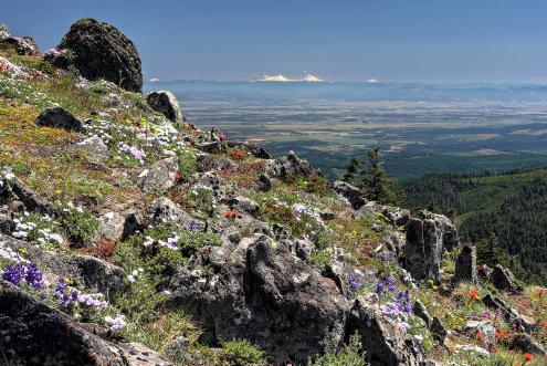 The Three Sisters & the Willamette Valley from Marys Peak