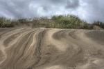 Patterns - Florence Dunes