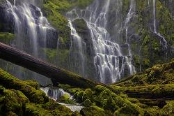 Proxy Falls Detail - Oregon Cascades