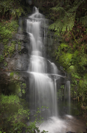 Smith River Tributary