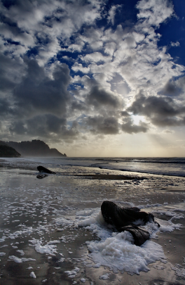South to Heceta Head