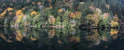 Autumn on the Lower Umpqua River 