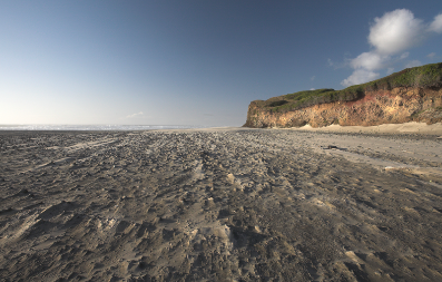 Windswept - Big Creek Beach