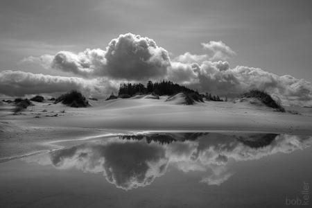 Tree Island - Umpqua Dunes